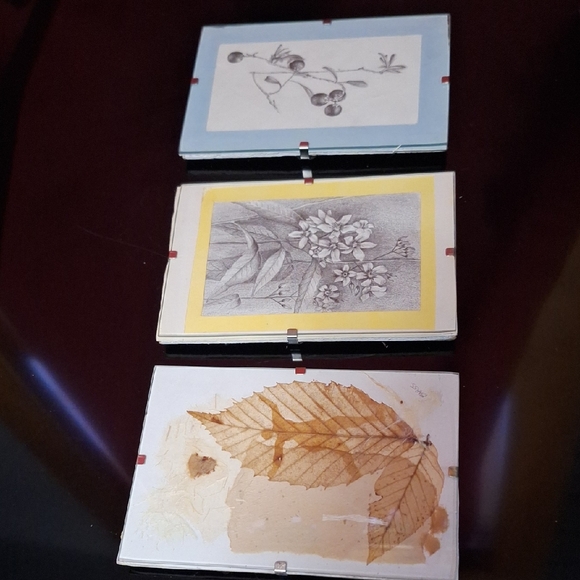 Other - Vintage Botanical Art Trio | Signed BARSS | Pressed Leaf & Sketches
